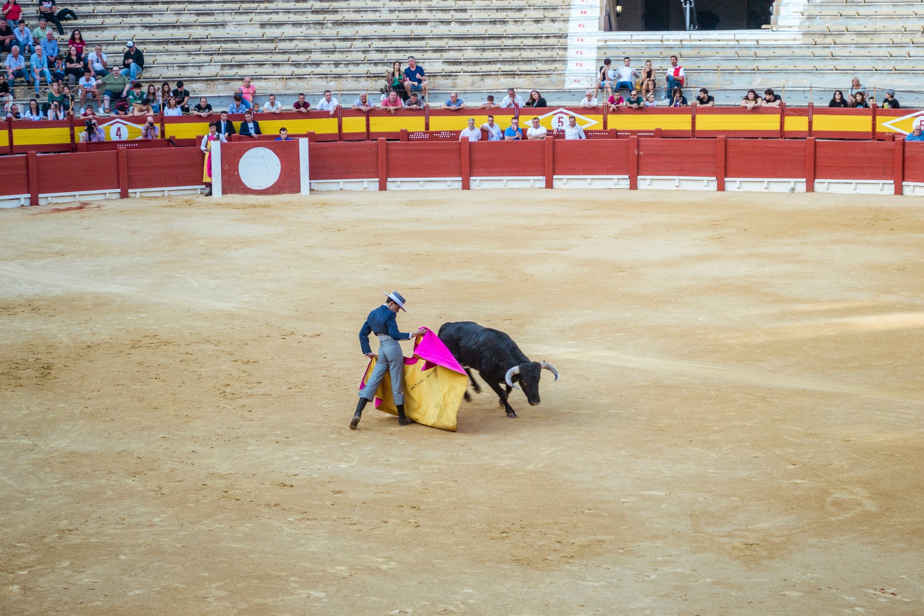 Tauromaquia